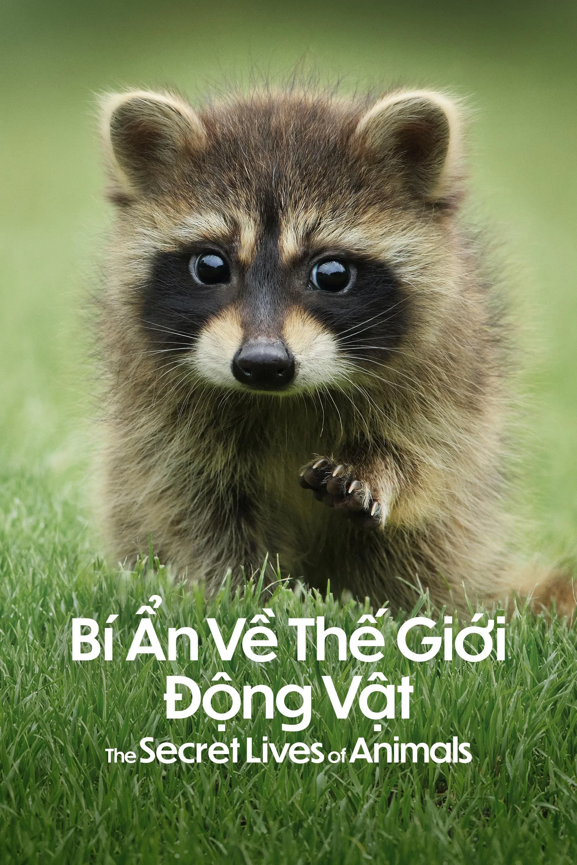 Bí Ẩn Về Thế Giới Động Vật