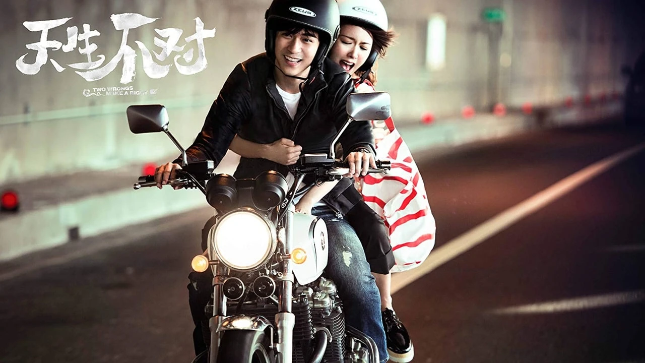 Cặp Đôi Khắc Tinh (Two Wrongs Make a Right)