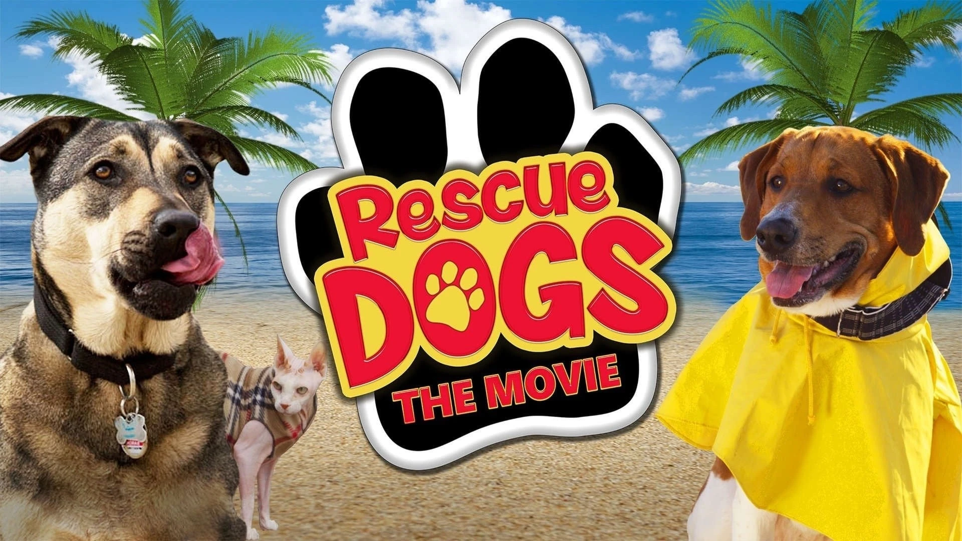 Chú Chó Cứu Hộ (Rescue Dogs)