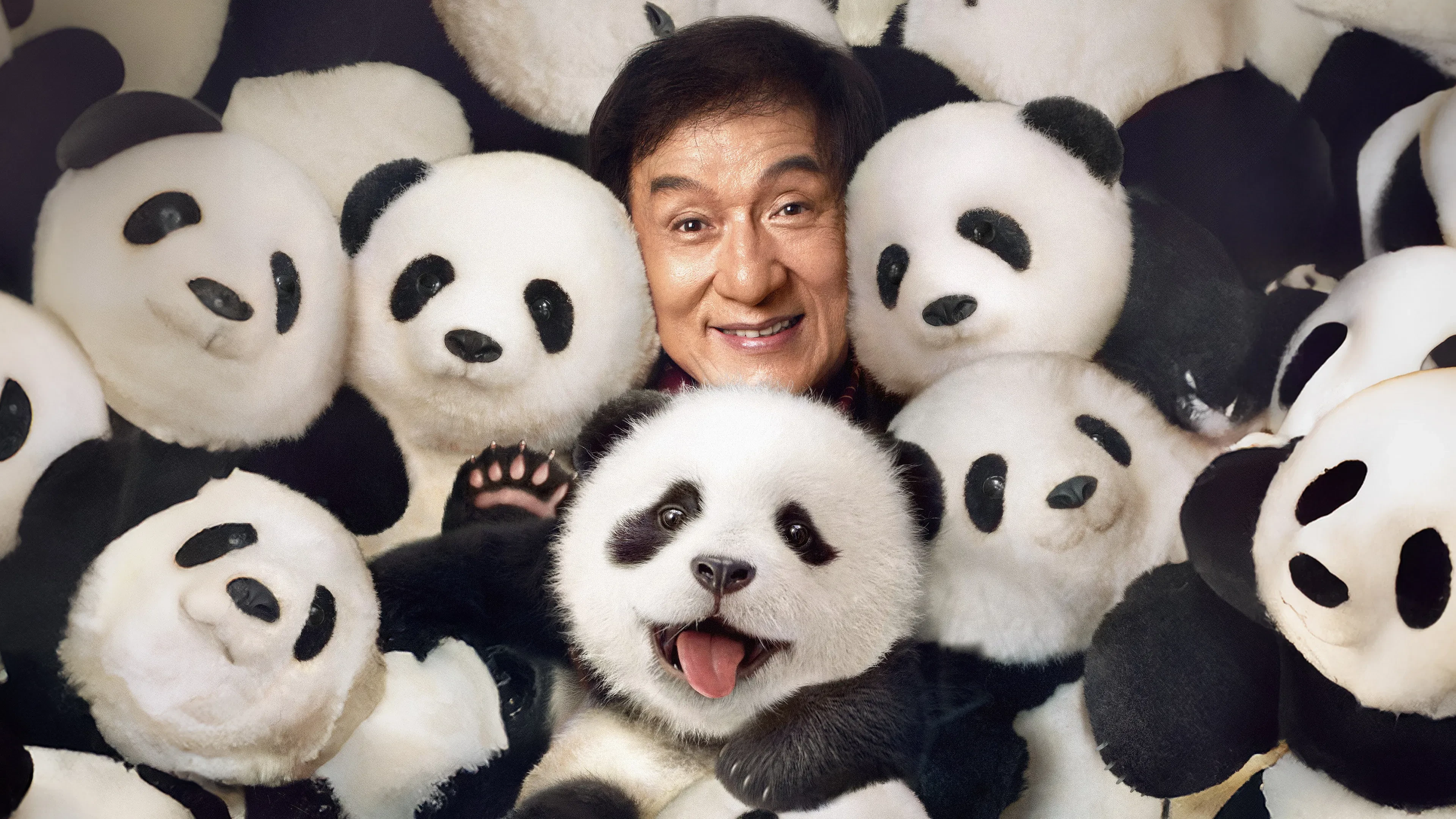 Kế Hoạch Panda (Panda Plan)