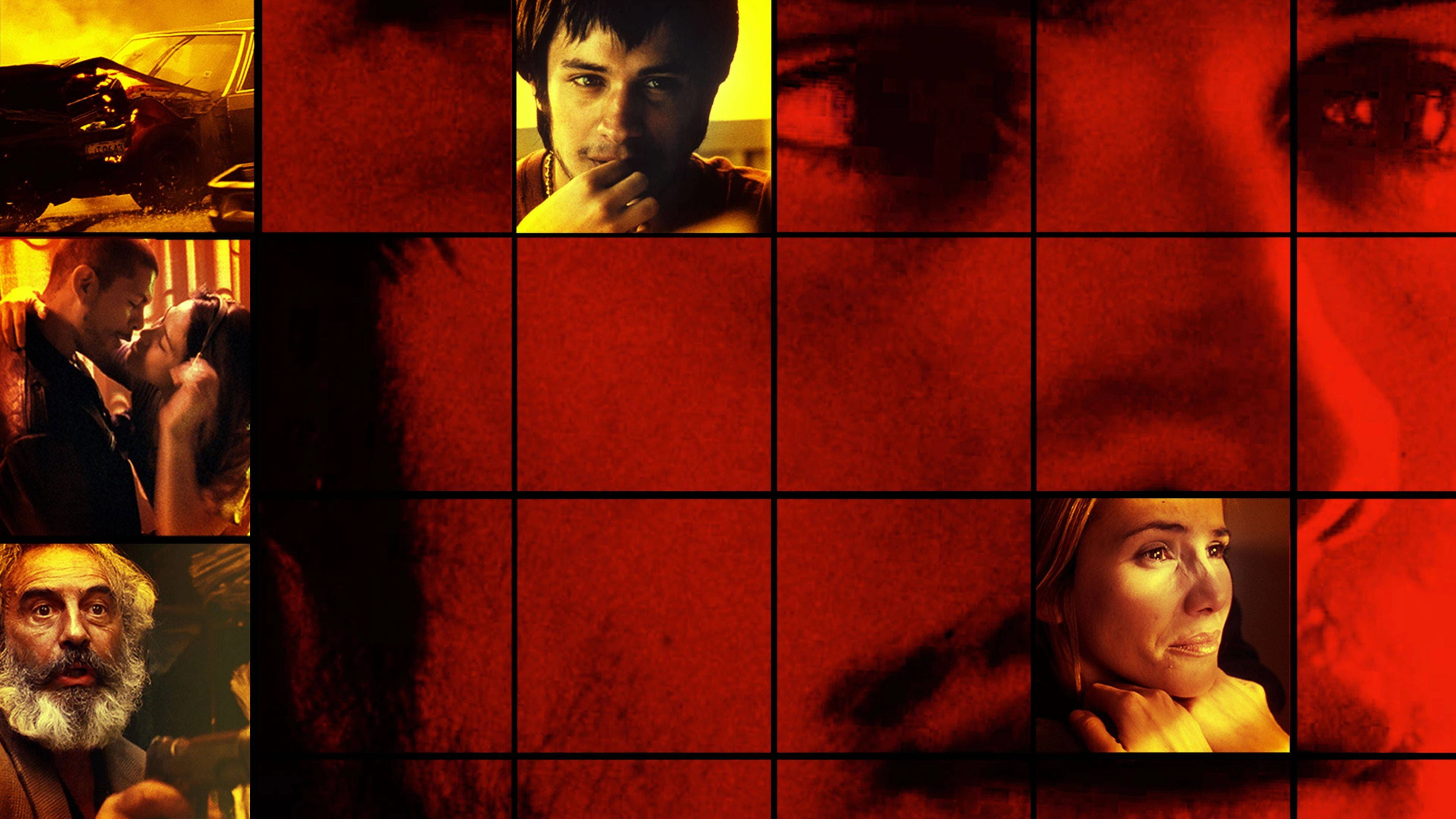 Kẻ Vô Đạo (Amores perros)