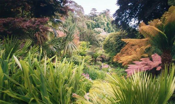 Khu Vườn Mộng Mơ (Dream Garden)