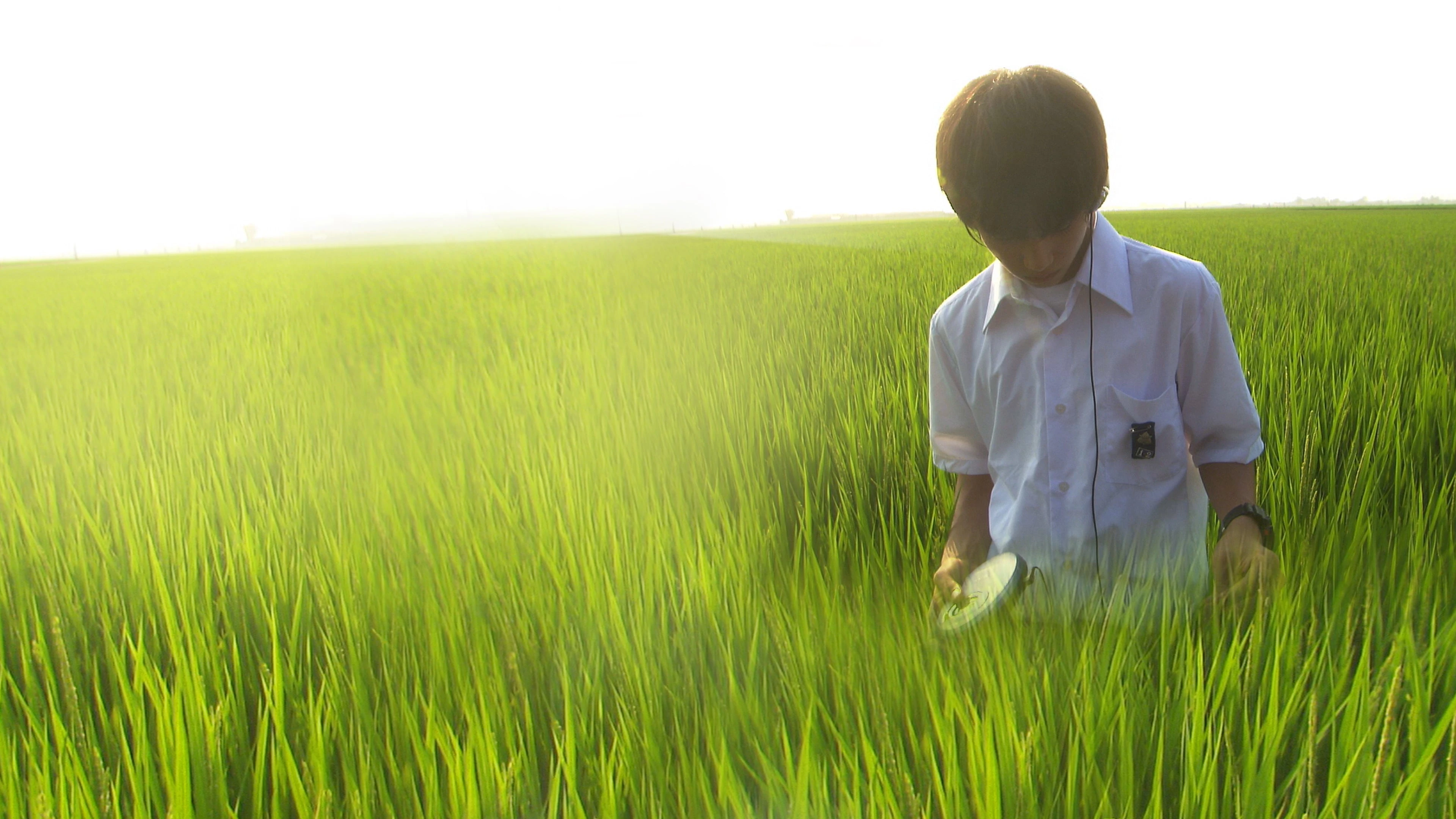 Khúc Cầu Siêu Của Tuổi Trẻ (All About Lily Chou-Chou)