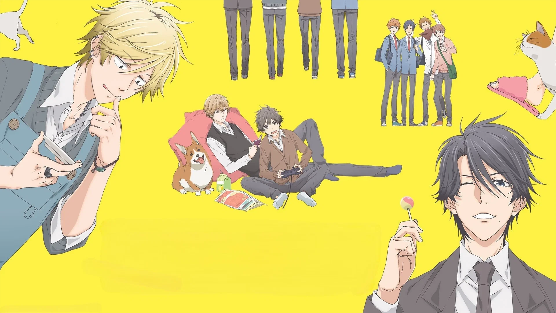 Người Hùng Của Tôi (Hitorijime My Hero)