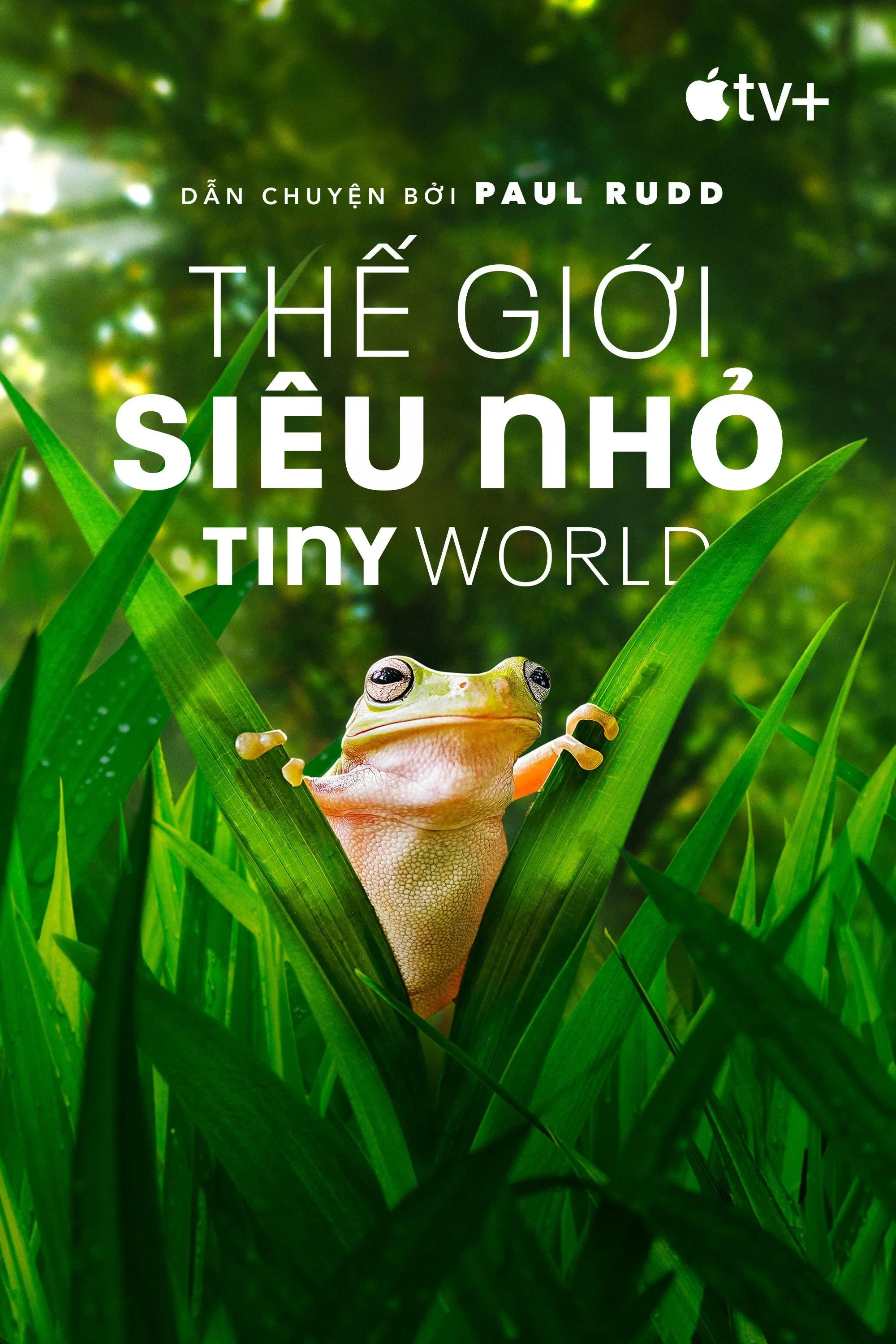 Thế Giới Siêu Nhỏ