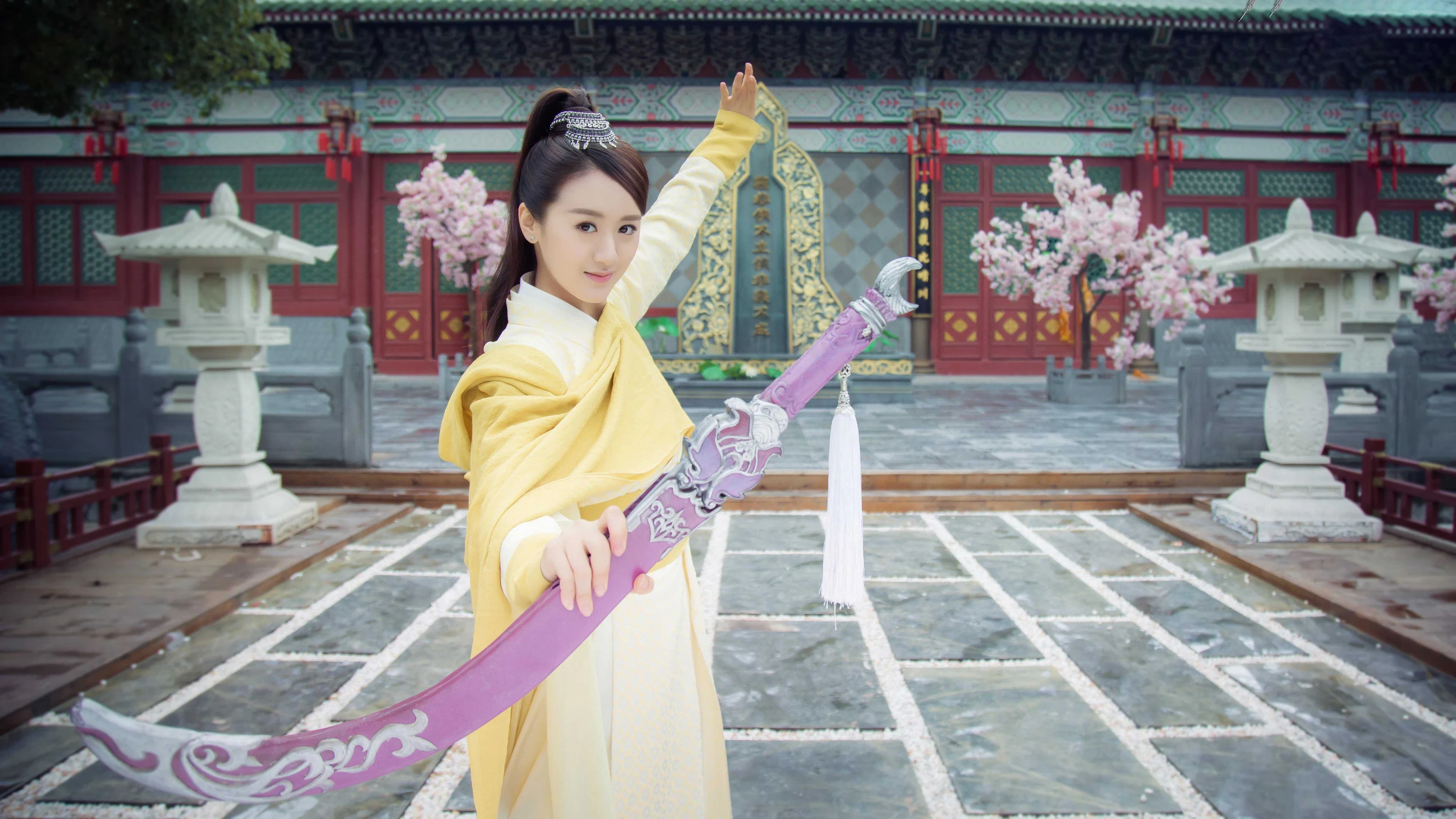 Truyền Thuyết Phi Đao (The Legend of Flying Daggers)