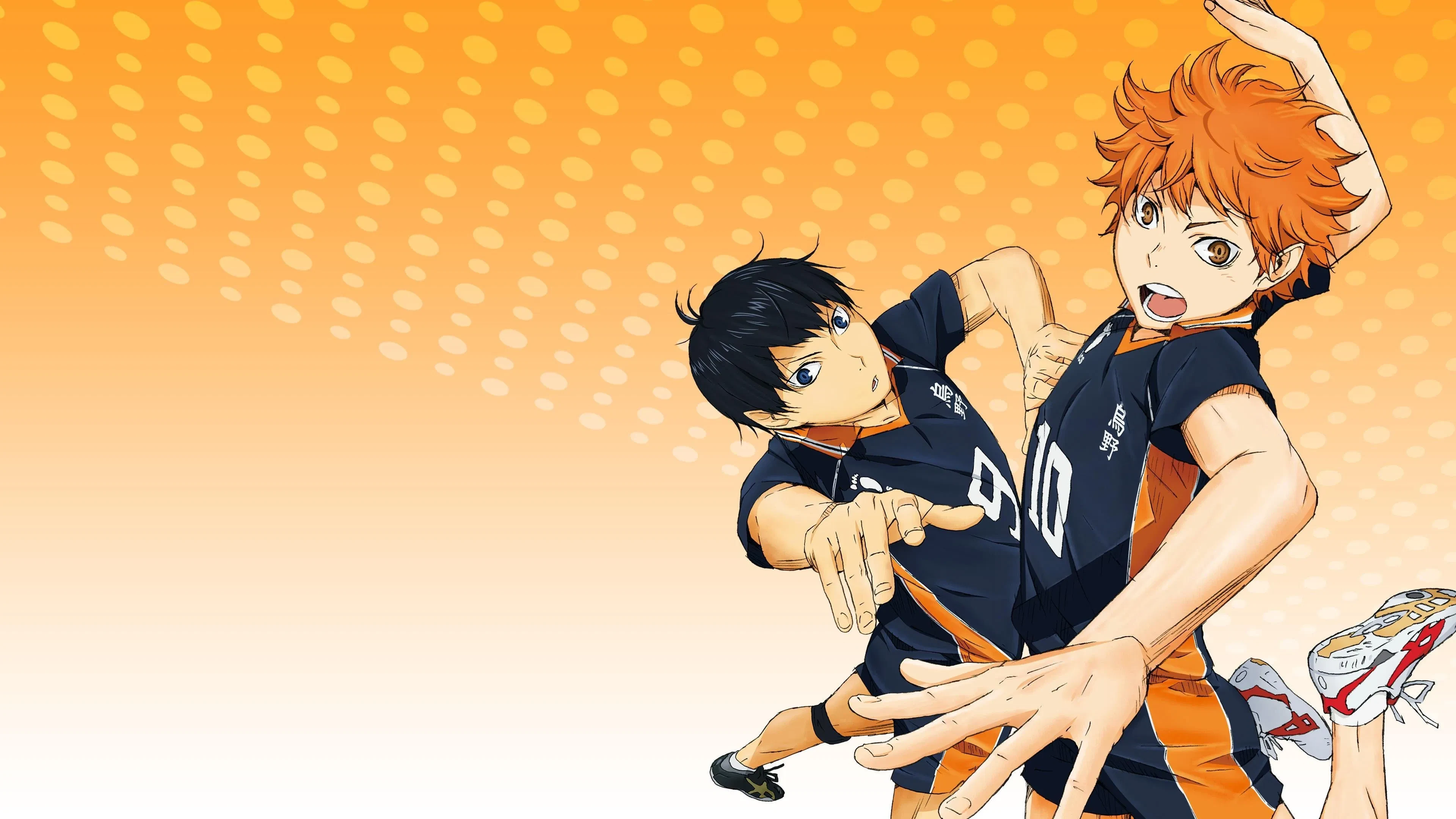 Vua Bóng Chuyền Haikyuu 2 (Haikyu!! 2)